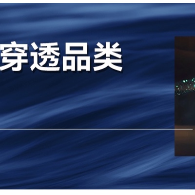 如何把一个品类做全、做透？