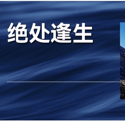 这个被国家严控的夕阳传统产业，如何绝地求生？