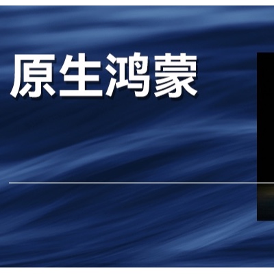5年走出新道路，华为原生鸿蒙系统意味着什么？