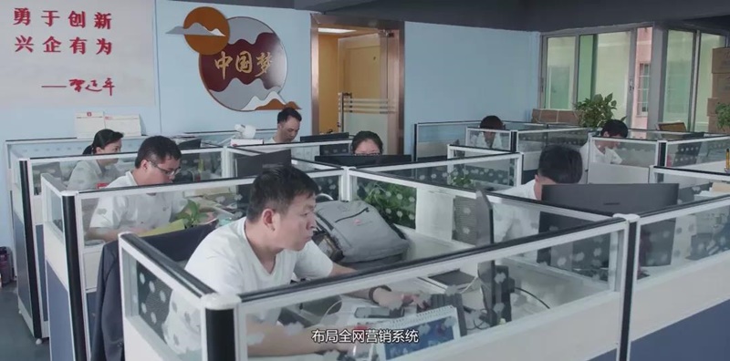 聚桥网销团队