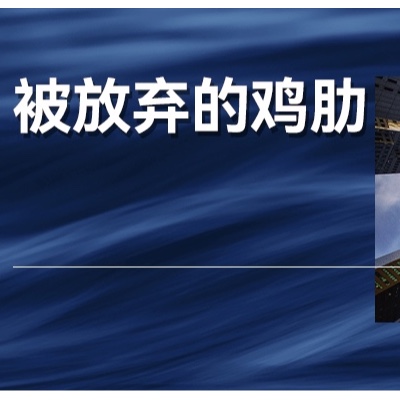 其实，极越的死亡，就是一场命中注定的谋杀