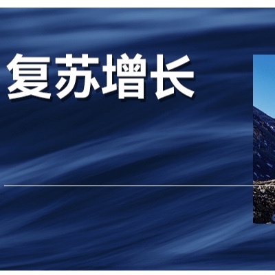什么样的行业和企业，会在2025年率先增长？