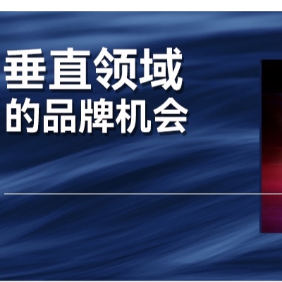 垂类媒体倒下，但垂直品牌账号大有可为