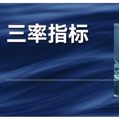 苹果遭遇重大挫折，AI时代，考量企业发展的新指标是什么？