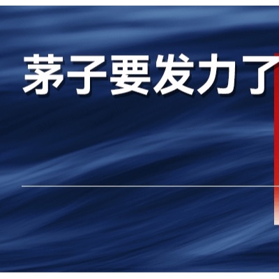 茅台掌门人首秀大谈品牌，茅台会涨价吗？