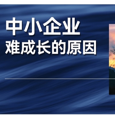 从搜索到全域，这家企业真的学到了