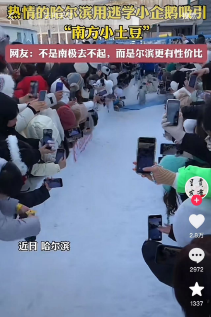 微信图片_20240106081644